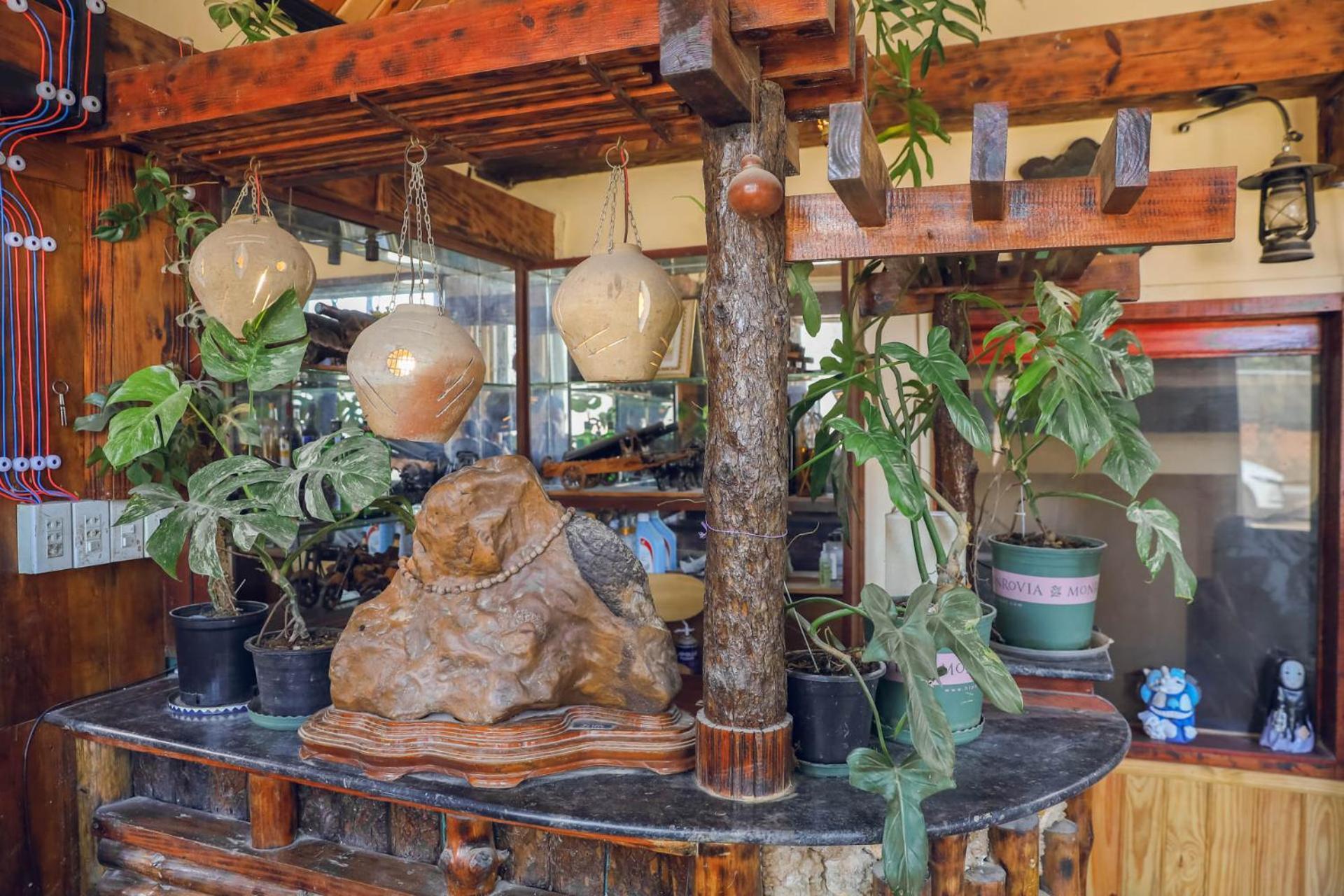 Ziczac Homestay Da Lat Dış mekan fotoğraf